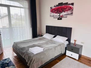 Hotels . Hotel Suite Double №15. 