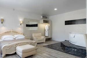 Hotels . Hotel Suite Double . 