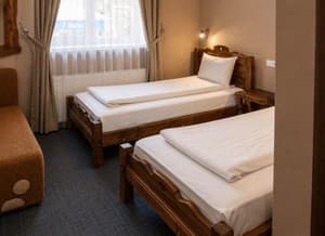 Hotels . Hotel Standard Double without a balcony. 
