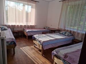 Отели . Гостиница Эконом 4-местный . 