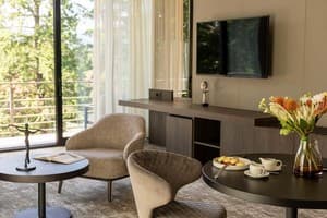 Hotels . Hotel Suite Double Verkhovyna Deluxe. 