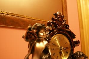 Отели . Гостиница Семейный 4-местный . 