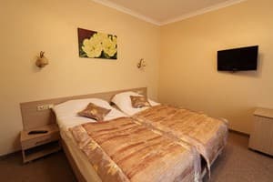 Отели . Гостиница Стандарт двухместный . 