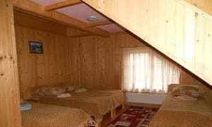 Живиця. Номер Эконом 4-местный 