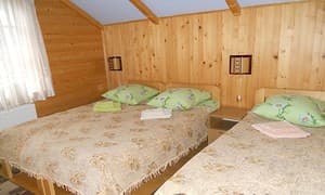 Живиця. Номер Эконом трехместный 