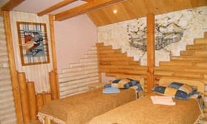 Живиця. Номер Эконом двухместный 