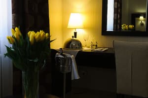 Отели . Гостиница Стандарт двухместный . 