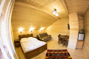 Kolo druziv. Room Junior suite Double with balcony #2
