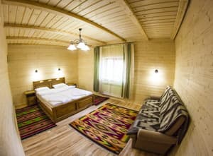 Kolo druziv. Room Suite Double with fireplace (cottage №2)