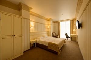 Premier Geneva Hotel. Номер Полулюкс двухместный (Премьер)