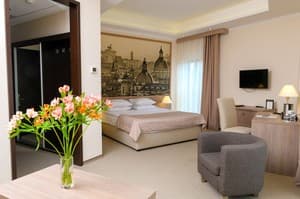 Отели . Гостиница Полулюкс двухместный . 