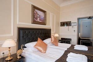 Отели . Гостиница Бизнес двухместный . 