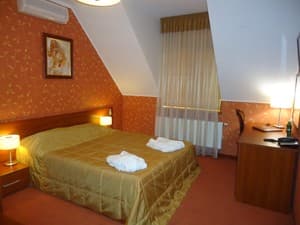 Отели . Гостиница Стандарт одноместный . 