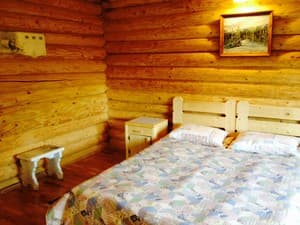 Эрташ. Номер Стандарт двухместный Черника