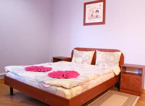 Отели . Гостиница Апартаменты двухместный на ул. Николая Голего (Лебедева-Кумача), 5. 