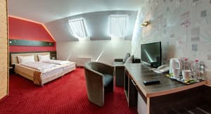 F&B SPA RESORT. Room Standard Double Mansard Fomich