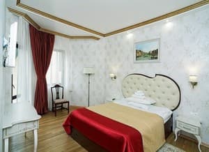 Отели . Гостиница Люкс одноместный однокомнатный. 