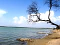 Озеро Мойнаки в Евпатории