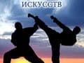 Фестиваль боевых искусств «World Cup Junior Fighter»