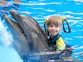 Дельфинарий в Одессе 