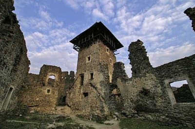Невицкий замок
