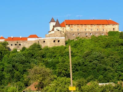 Мукачевский замок или Замок Паланок